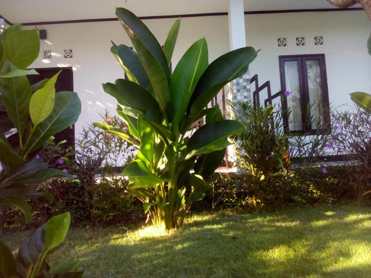 Ariata Arya Hostel Kuta  Ngoại thất bức ảnh
