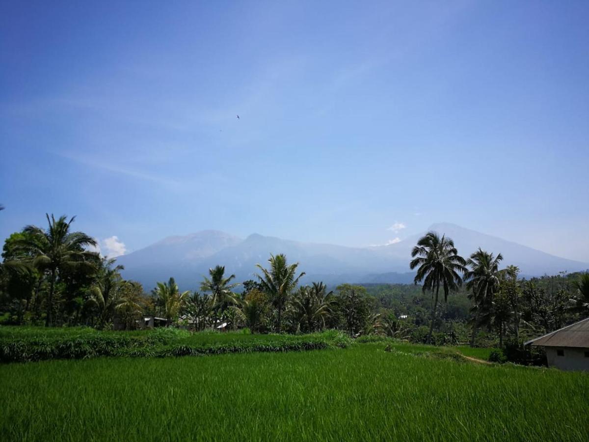 Ariata Arya Hostel Kuta  Ngoại thất bức ảnh